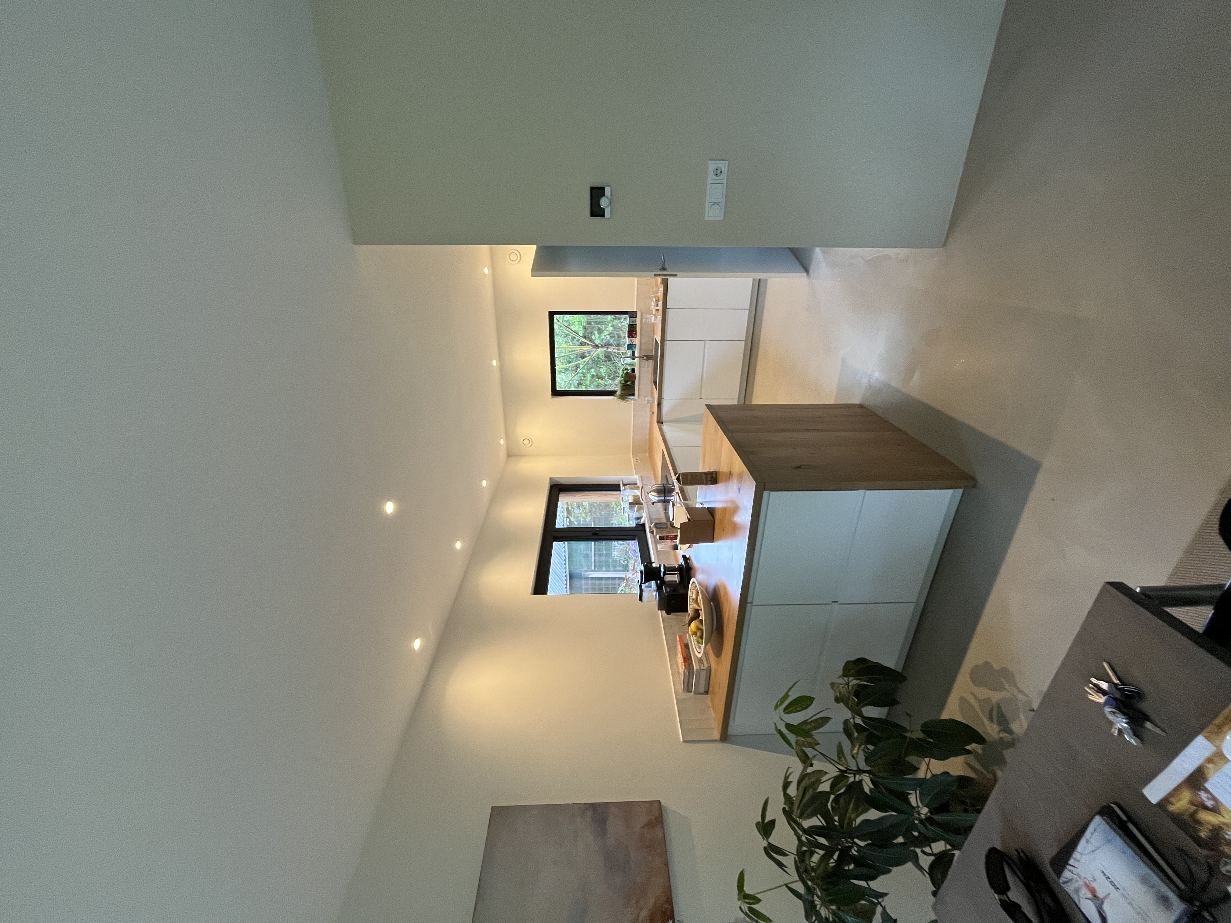 Houtskelet woningen Eenrum
