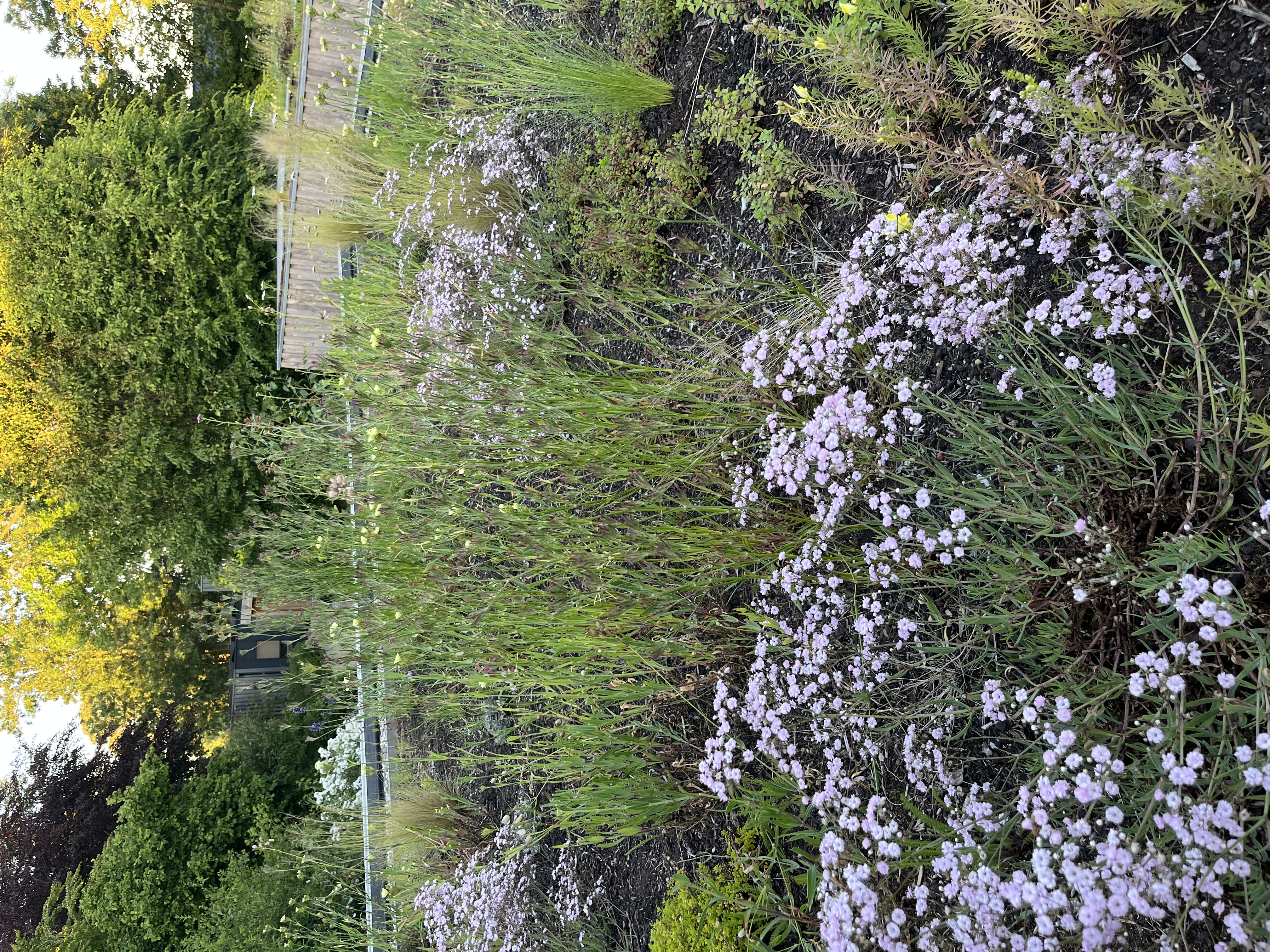 Daktuin