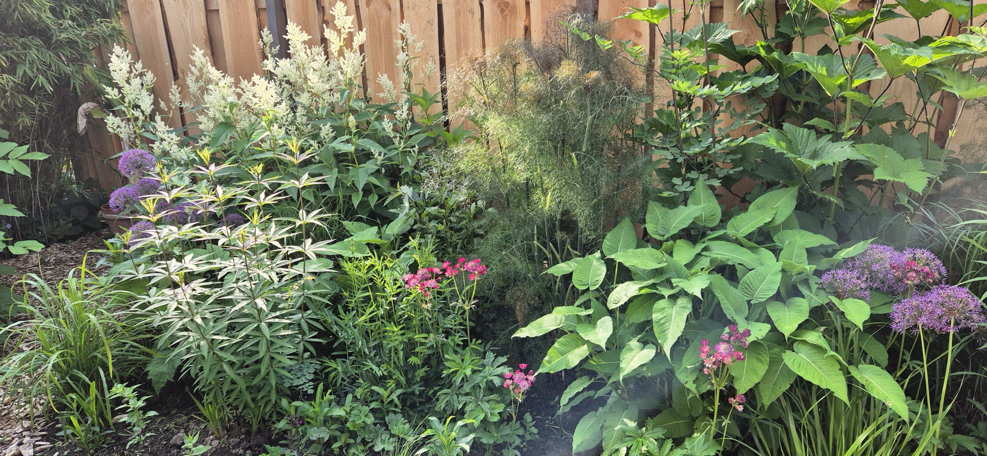 Tuin Eenrum
