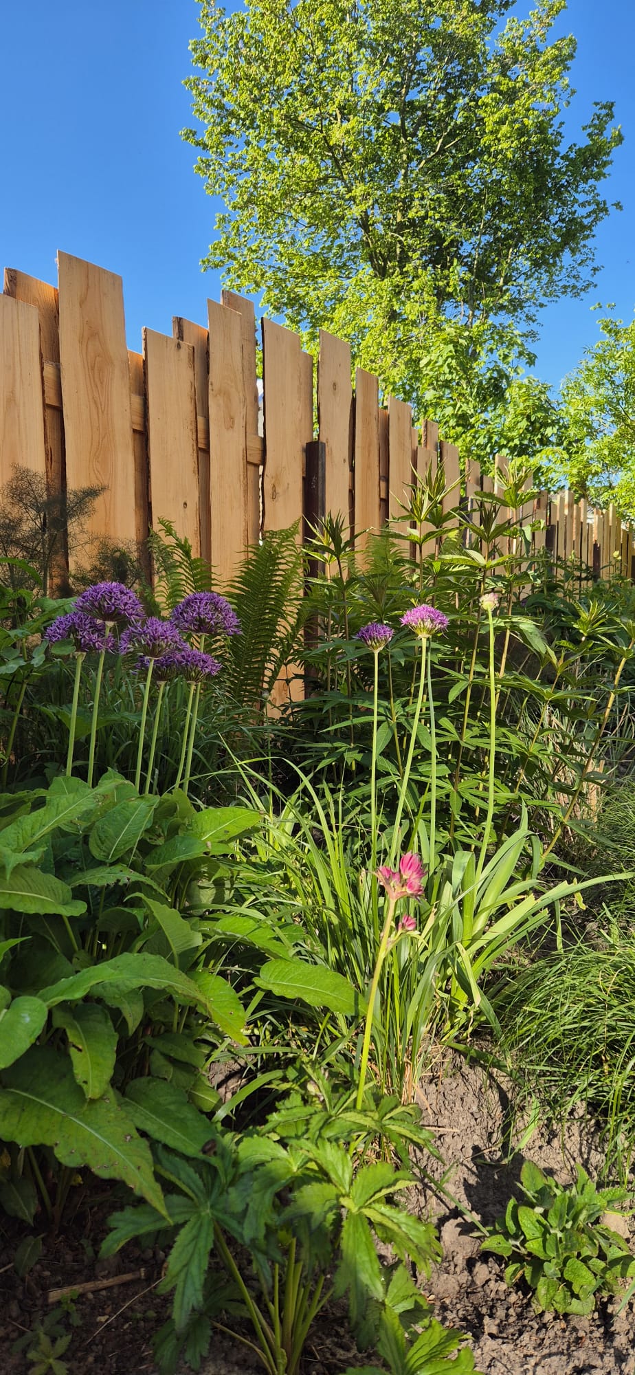 Tuin Eenrum
